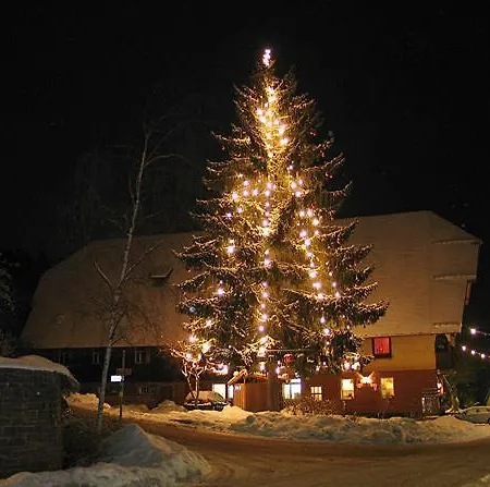 بيت ضيافة Landgasthof Loewen