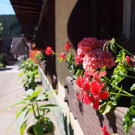 بيت ضيافة Landgasthof Loewen شرامبرغ