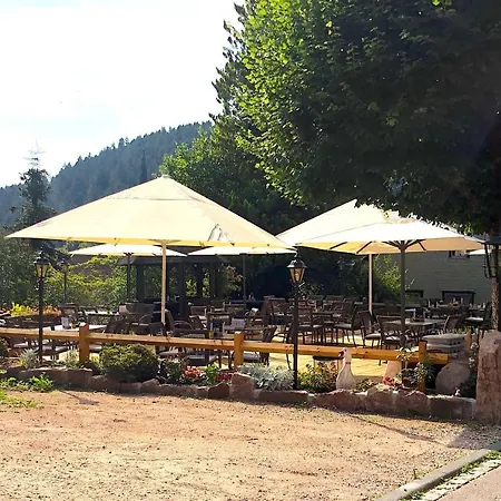 بيت ضيافة Landgasthof Loewen